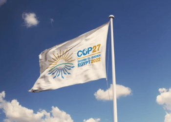 Ekran Resmi 2022 11 06 12.01.23