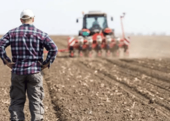 Ekran Resmi 2022 11 21 11.32.55