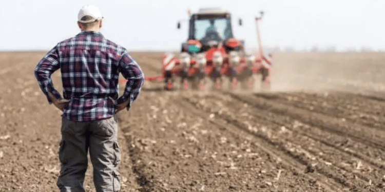 Ekran Resmi 2022 11 21 11.32.55