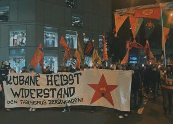 IMG 6705 e1667377772506