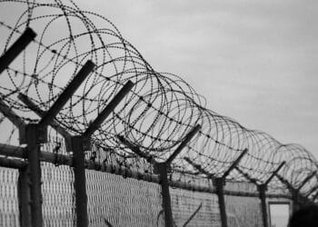 daniel bernard s67PZz8Xt3c unsplash scaled