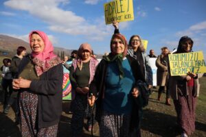 photo 2022 12 15 14 37 57