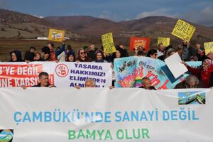 photo 2022 12 15 14 38 04