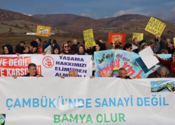 photo 2022 12 15 14 38 04