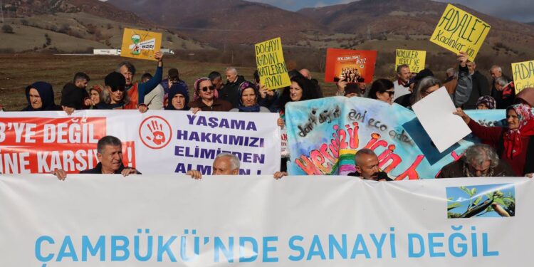 photo 2022 12 15 14 38 04