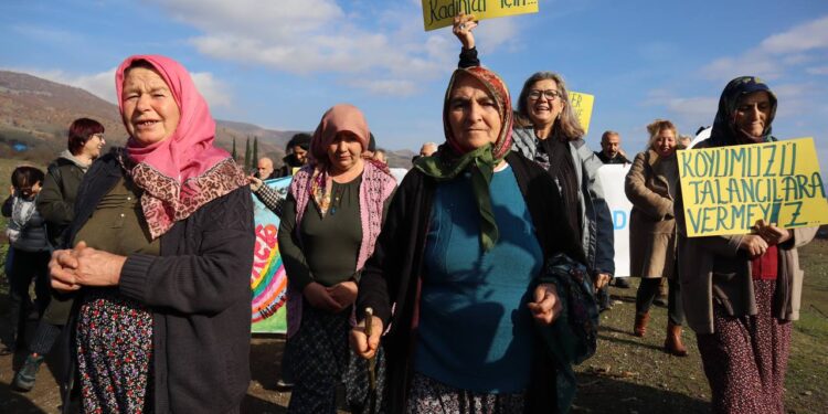 photo 2022 12 15 16 02 49