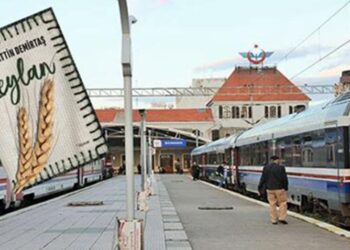 tcddde demirtas surgunu