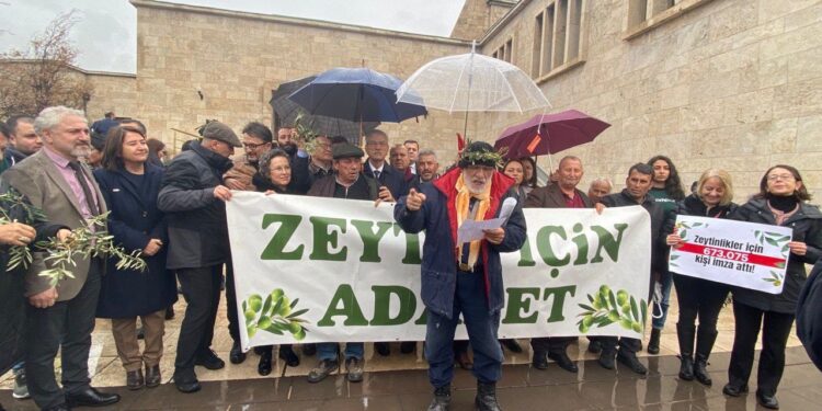 zeytin