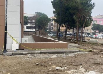 Manisada is cinayeti