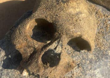 Zilan Vadisinde insan kemikleri bulundu