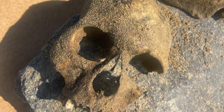 Zilan Vadisinde insan kemikleri bulundu