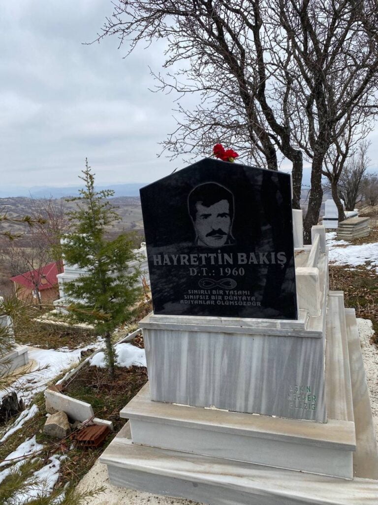 hayrettin bakis