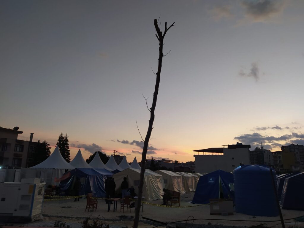 01d613ff 2a2c 46fc bcb0 0985f055c7a9