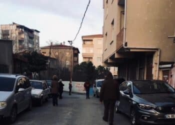 IMG 0054 e1676228818574