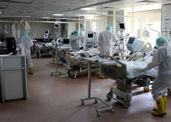 koronavirus aa 1491227