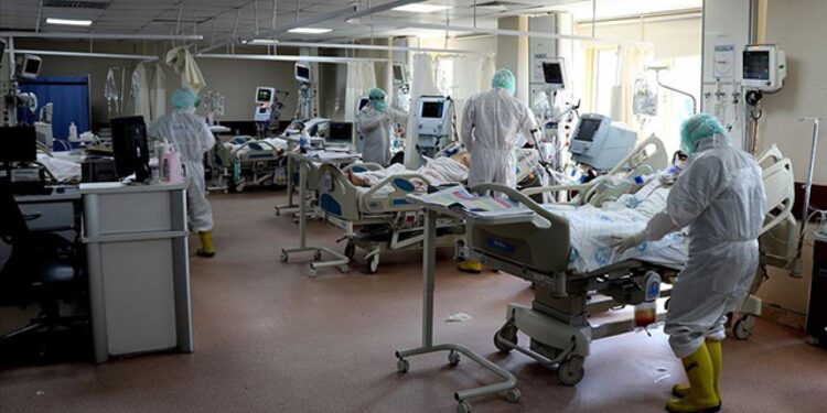 koronavirus aa 1491227