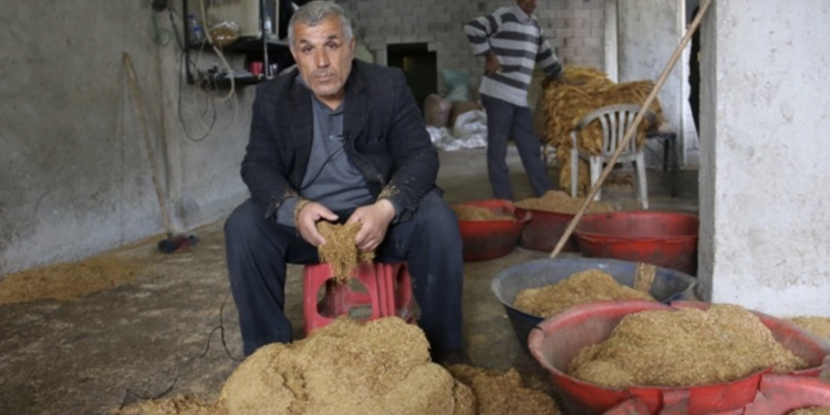 Ekran Resmi 2023 03 29 11.37.11