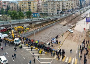 resimid 225914731 22591473