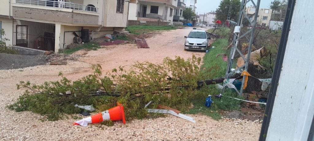 1 mrs 20 04 23 bazarcix firtina10