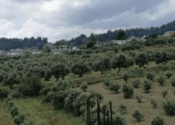 Ekran Resmi 2023 04 29 15.43.48