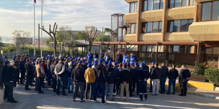 gubretas e1682500775703