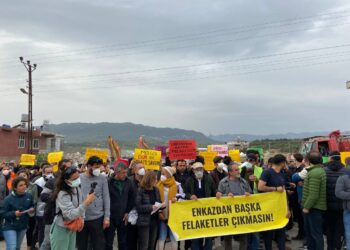 photo 2023 04 09 16.20.21