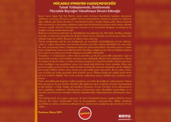 9AF458B3 3A94 4CC5 A808 42C2BAFA154C scaled