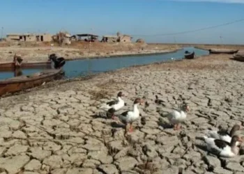 Barajlar Dicle ve Firat nehirlerini kuruttu