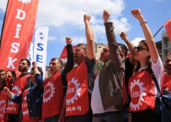 FvDCq0WXsAMojIr scaled