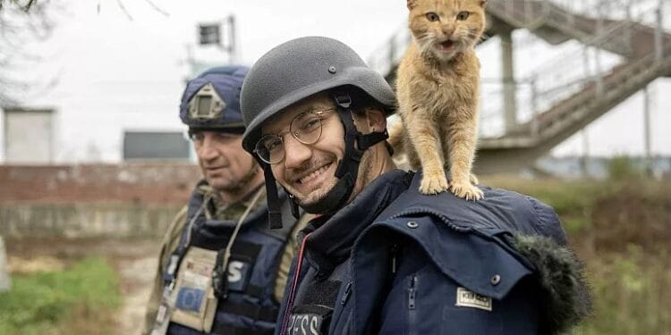 Rus roketi isabet eden AFP muhabiri hayatini kaybetti