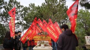 photo 2023 05 20 09 33 58