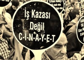 1672647865033 1637226042246 ii