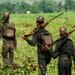 IED Blast in Chhattisgarh Chhattisgarh News Bijapur News Naxals Attack