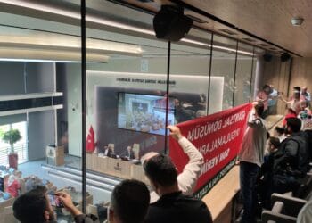 IMG 20230608 180355 scaled