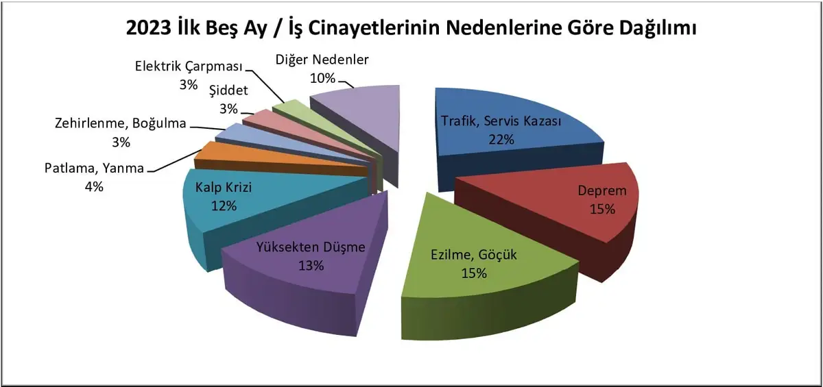 İş Cinayetlerinin Nedenleri