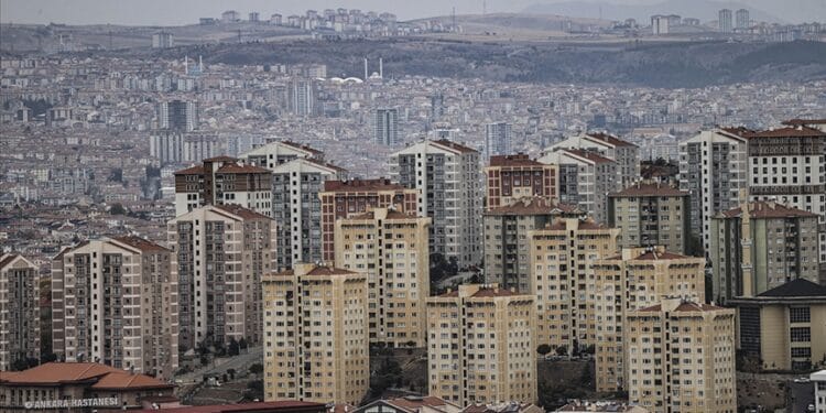 thumbs b c 843f8358635024675915cd5965709075