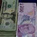 1649330021961 kur doviz dolar tl