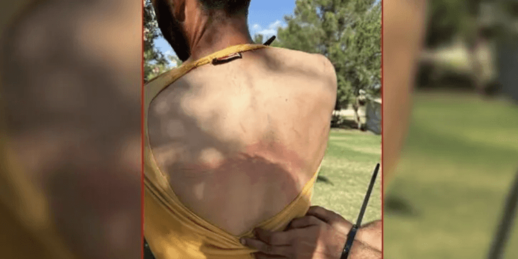 Ekran Resmi 2023 07 10 15.32.14