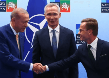 Isvec Yuksek Mahkemesi Turkiyenin FETO uyeligi gerekcesiyle iadesini talep ettigi iki kisinin dosyasi hakkinda kararini verdi