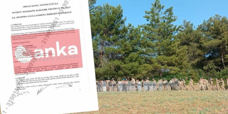 Akbelen'de ağaçları kesen şirketle Orman Genel Müdürlüğü arasında 6 milyonluk protokol imzalanmış