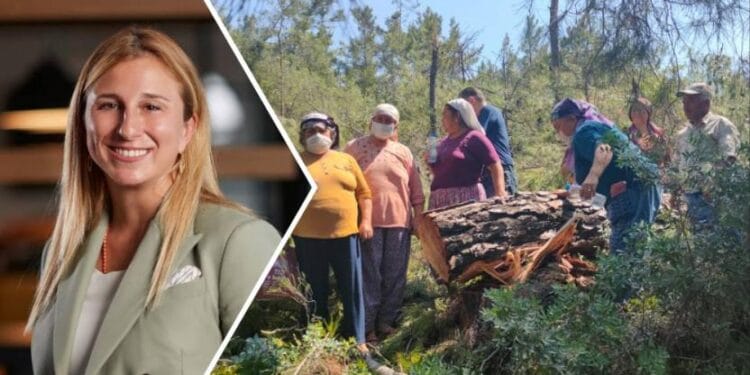 Akbelen’de ormanı kesen Limak’ın patronunun kızı doğal hayatı koruma derneği yöneticisi çıktı