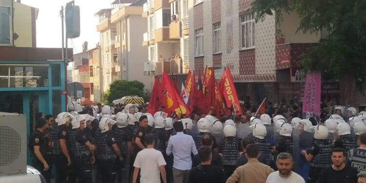 photo 2023 07 02 22 01 15 1