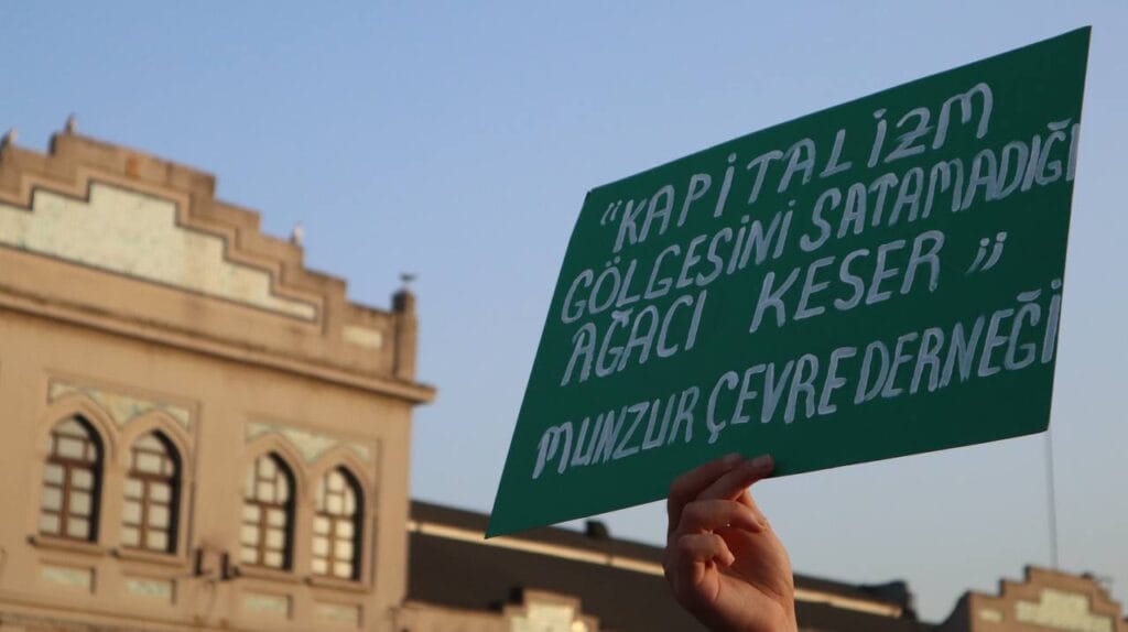 photo 2023 07 25 21 06 50