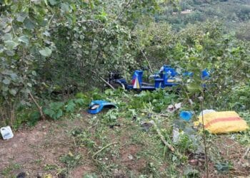 Ordu'da 12 yaşındaki çocuk işçi hayatını kaybetti