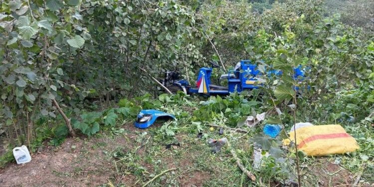 Ordu'da 12 yaşındaki çocuk işçi hayatını kaybetti