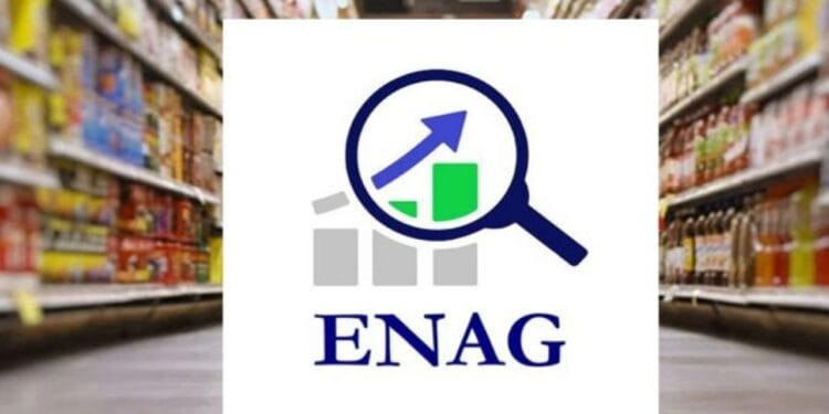 ENAG: 12 aylık enflasyon yüzde 122,88