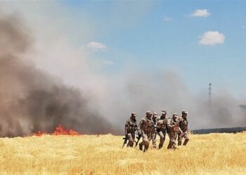Mardin'de DEDAŞ'a tepki gösteren 3 köylü gözaltına alındı