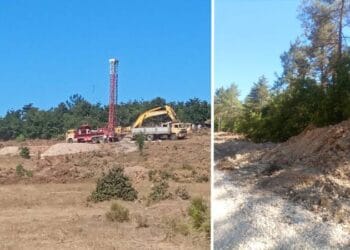 Cengiz Holding dava süreci bitmeden Kaz Dağları'nda kesim işlemlerini hızlandırdı