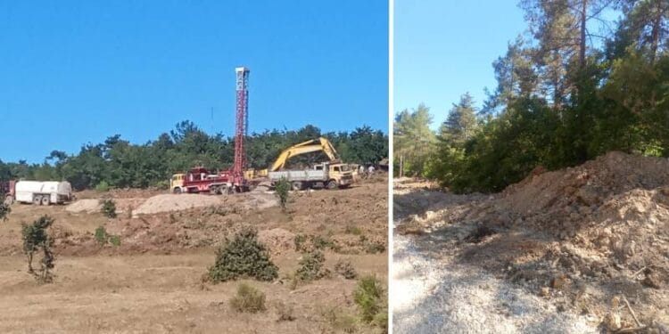 Cengiz Holding dava süreci bitmeden Kaz Dağları'nda kesim işlemlerini hızlandırdı