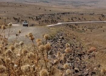 Diyarbakır'da 2 köyde 7 aydır su yok